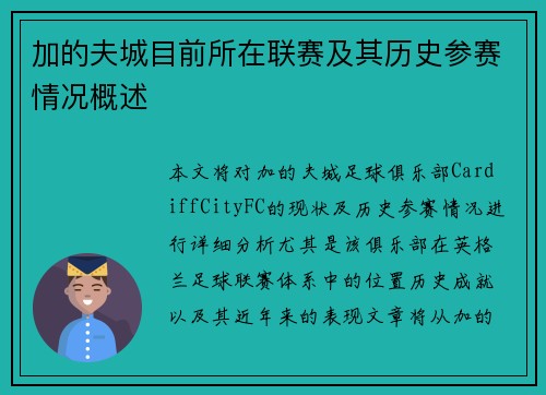 加的夫城目前所在联赛及其历史参赛情况概述