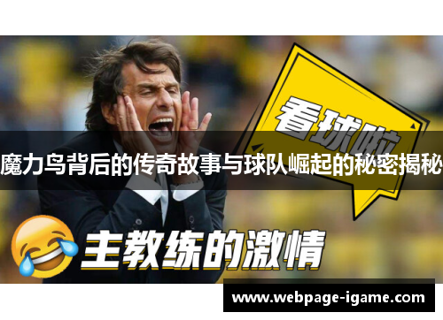 魔力鸟背后的传奇故事与球队崛起的秘密揭秘